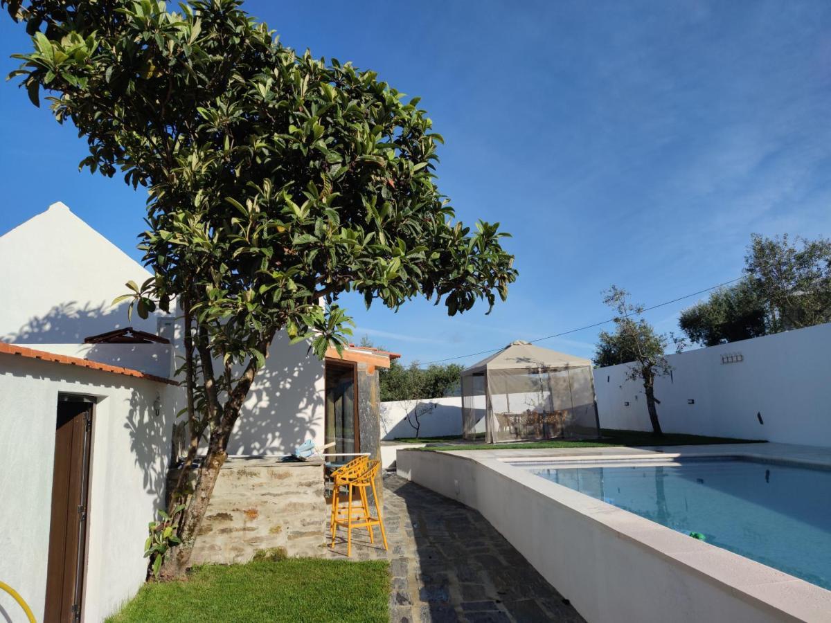 Pomar Das Oliveiras - Private Swimming Pool - Free Ev Chrg - Pet Friendly Carvalhal  Extérieur photo