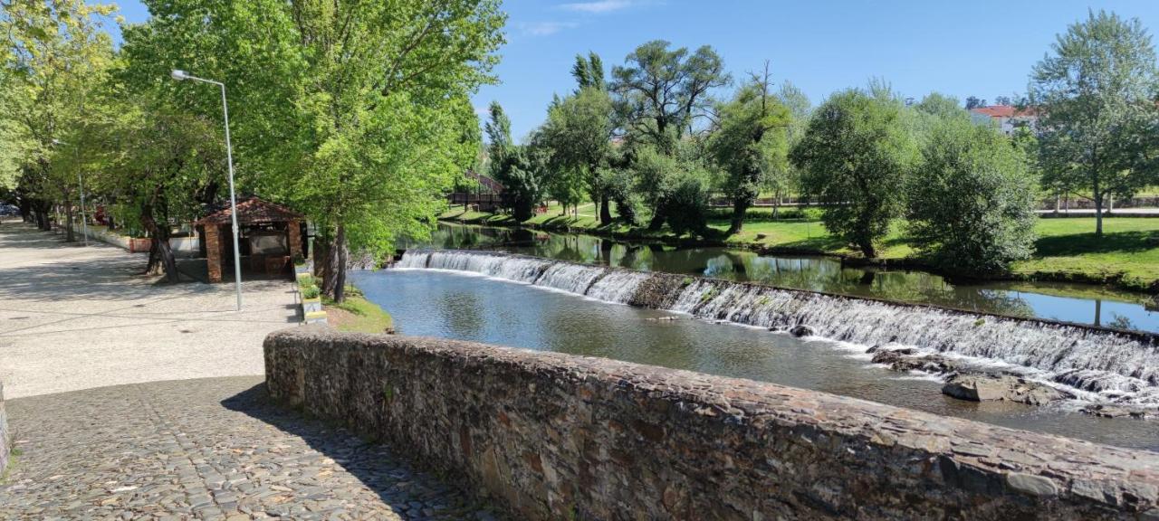 Pomar Das Oliveiras - Private Swimming Pool - Free Ev Chrg - Pet Friendly Carvalhal  Extérieur photo