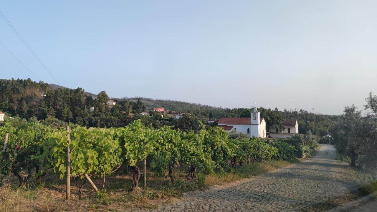 Pomar Das Oliveiras - Private Swimming Pool - Free Ev Chrg - Pet Friendly Carvalhal  Extérieur photo