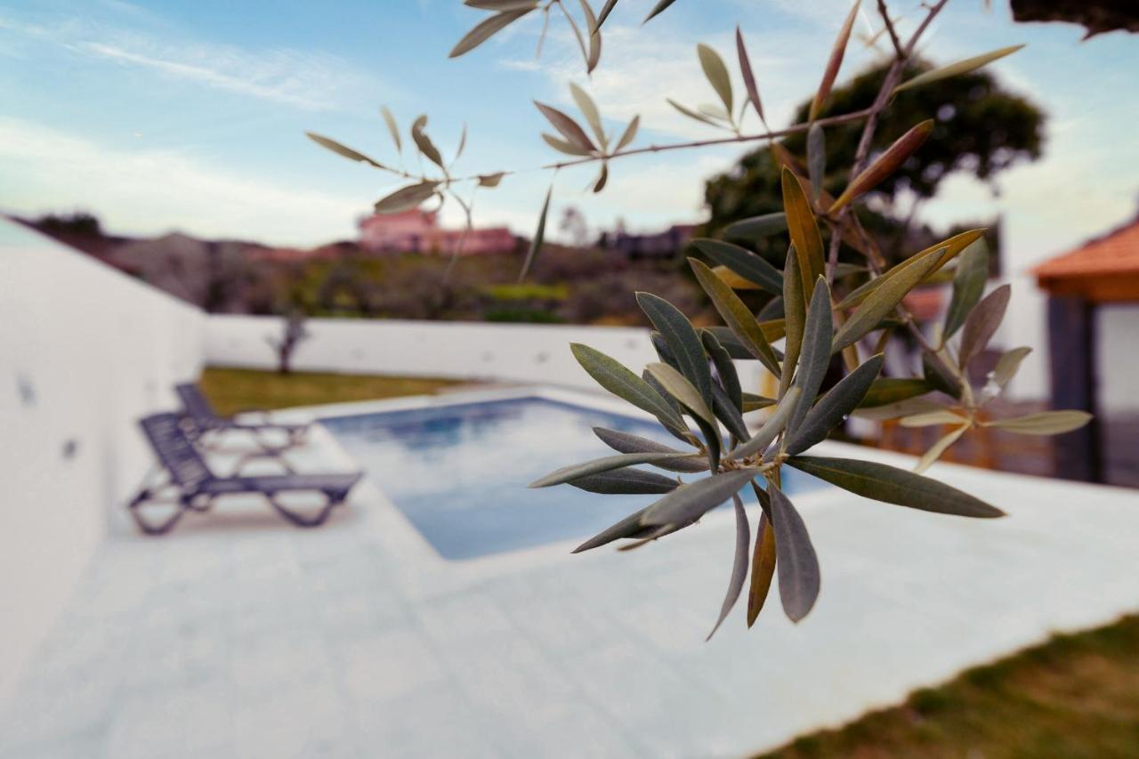 Pomar Das Oliveiras - Private Swimming Pool - Free Ev Chrg - Pet Friendly Carvalhal  Extérieur photo